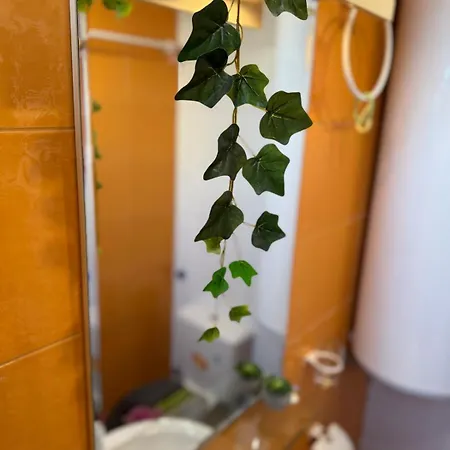 Harbour Top-view Terrace 2-bdr Várna